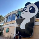 계림초등학교 정문 건너편 육교 | 마카오 판다 파빌리온 무료 입장 5세 3세 아이와 버스 경전철 이동 관람 꿀팁