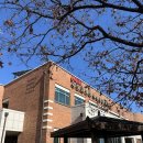 대학동물병원 | [대구 동물병원 추천] 관절염좌 근육염좌로 대구 동물병원 5곳 방문! 대구 경북대 동물병원 진료 후기!