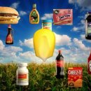 주식회사푸드랑 이미지