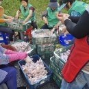 공음실내체육관 이미지