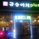 금송아지플러스