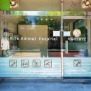 씨밀레동물병원 이미지