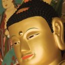 백양사진입로 이미지