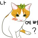 카페마노아 이미지