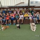 하나용인대태권도장 이미지