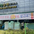 백억모싯잎송편신가점 | [광주 백억모싯잎송편떡집] 명절마다 사먹는 모싯잎송편 맛집, 추석 송편 준비 💚
