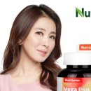 멀티24