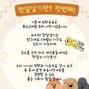 BG독케어센터 이미지