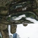 돈까스백반 이미지