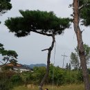 금마3농장 이미지