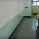 서초중학교 이미지