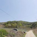 안동시 계획관리 전 3400평 2억3천(급급매)귀농 과수원 전원개발 추천 이미지