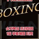 의정부 복싱 PT 이미지