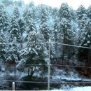 펜션백궁 이미지