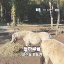 삼진슈퍼 | 제주도 렌트카 돌하루팡 1박 2일 겨울 완전자차 추천 스포티지 후기
