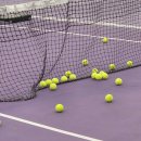 (주)거성테니스프라자 | 수원 실내테니스 써니테니스 1:1레슨, 볼머신 후기