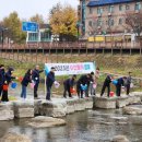 공공용 20 이미지