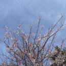 하당동주민센터 이미지