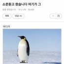 서초우체국 | [서울가정법원] 만 30세까지 가능한 출생신고서 열람 및 발급 후기, 등록기준지 확인, 준비물 등