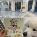 커멍커멍 이미지