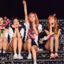 바디셀프 이미지