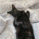 안성젓갈 이미지