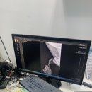 도촌 동물병원 | 복덩이[슬개골탈구4기수술]도촌동물병원 재수술후기&amp;성남분당동물병원추천