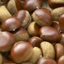 죽산농장 이미지