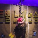 골든벨노래연습장 이미지