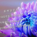 와와김밥 - 아산시 온천대로 1058 | 와와김밥