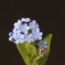 우리기전 이미지