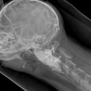 송정동물메디컬센터 이미지