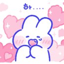 천일 소프트 이미지