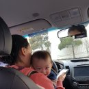 빠방이네 이미지