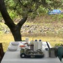 금대양 | 원주 [큰곰] 금대계곡 애견동반 계곡식당 내돈내산 찐 후기