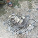 대우네민박 이미지