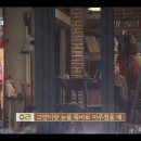 고양이민박 이미지