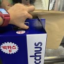 광주합동법무사사무소