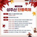 청양군 다목적체육관 | [보령] 성주산 자연휴양림 단풍축제
