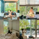 2020-03-0053 | 일본 도쿄 신상 호텔 프리미어 호텔 캐빈 프레지던트 도쿄 4성급
