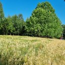 늘행복한농장 이미지