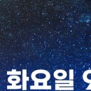 서울원플란트치과의원 이미지