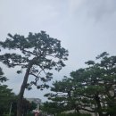 법률사무소이레 이미지