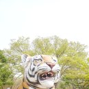 서울대공원 이미지