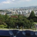 신동와인주 이미지