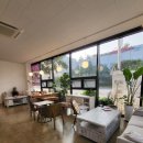 동오리가비 이미지