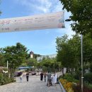 안성시민의 날 기념음악회 | 경기도 나들이 갈만한 곳 추천 용인 자작나무 숲 수국축제 생생후기