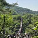 5원 24일 이미지