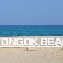 연곡카센타 이미지