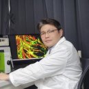국제정원석 이미지